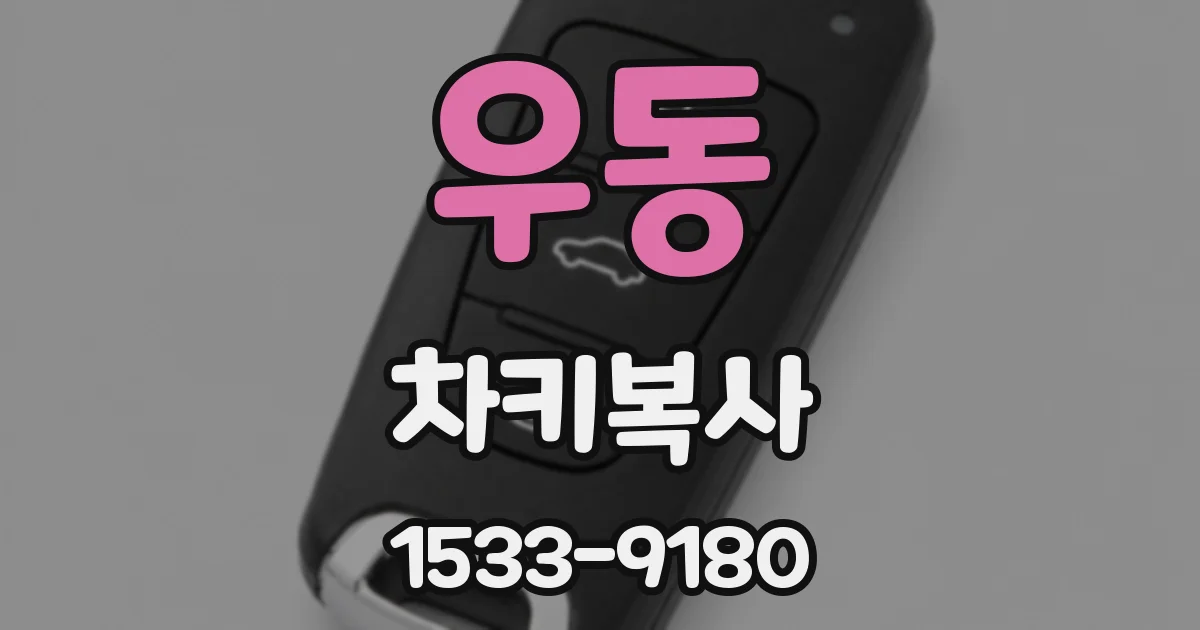 우동 차키복사