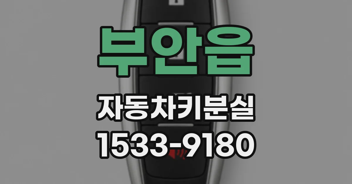 부안읍 자동차키분실