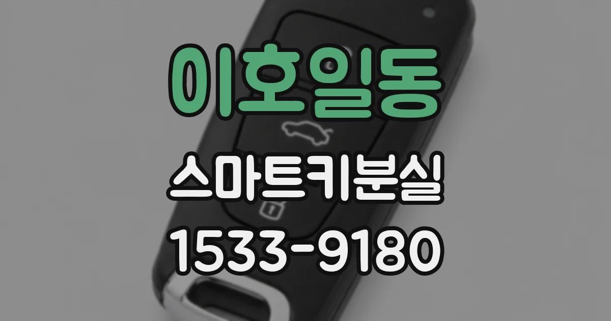 이호일동 스마트키분실