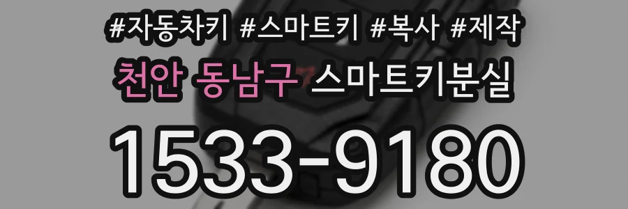 천안 동남구 스마트키분실