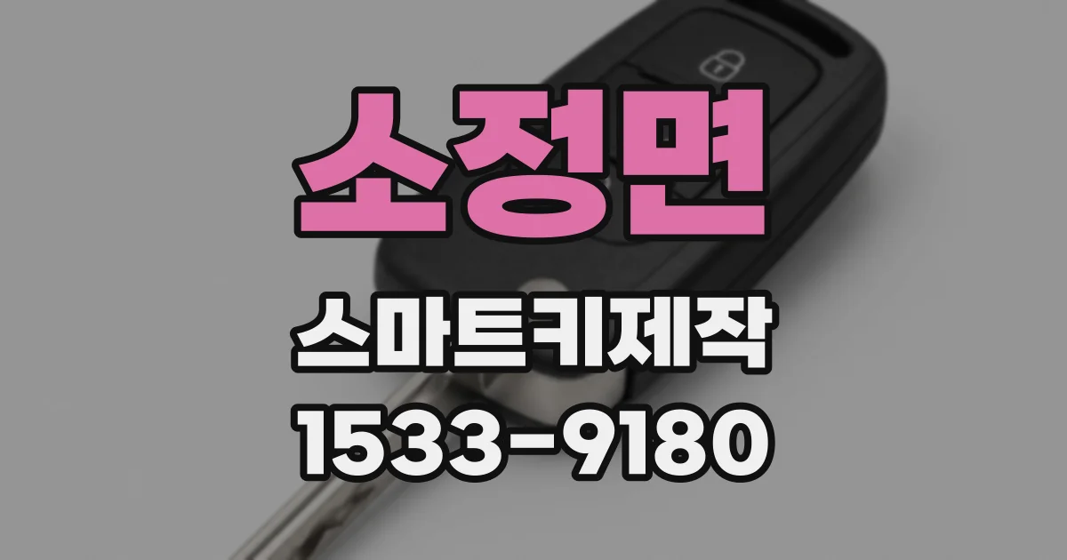 소정면 스마트키제작