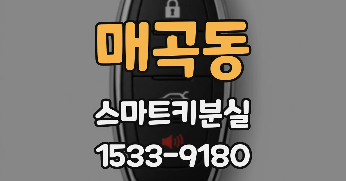 매곡동 스마트키분실
