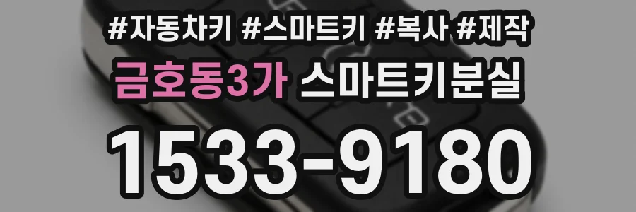 금호동3가 스마트키분실
