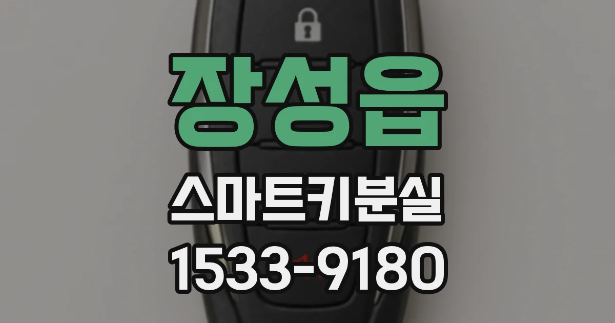 장성읍 스마트키분실