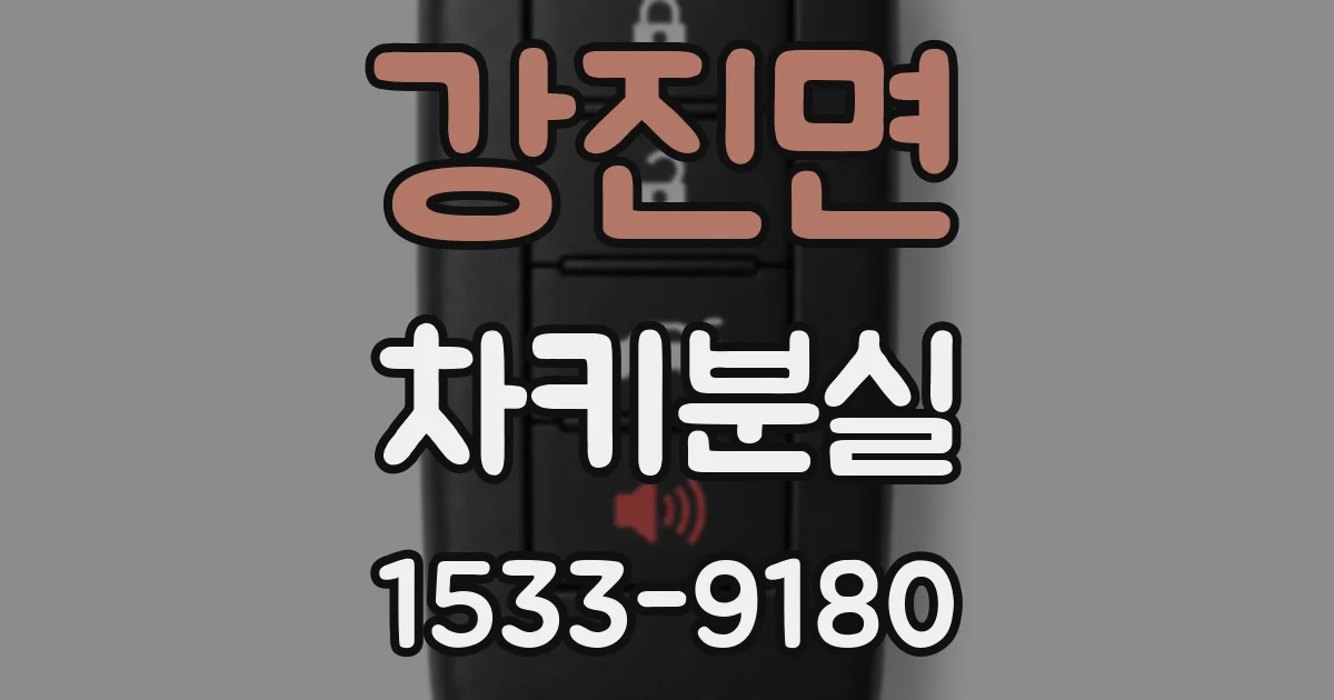 강진면 차키분실