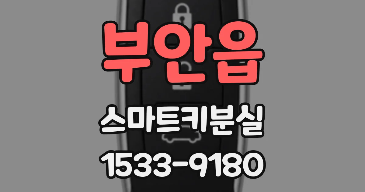 부안읍 스마트키분실