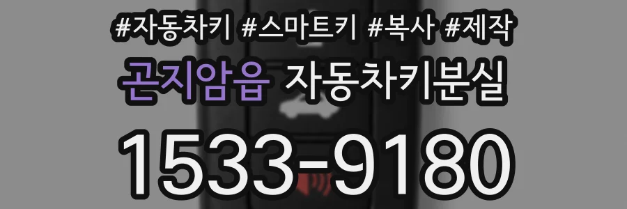 곤지암읍 자동차키분실