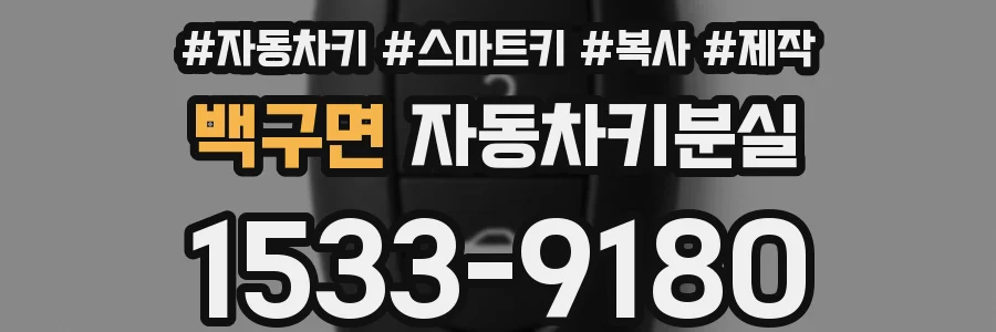 백구면 자동차키분실