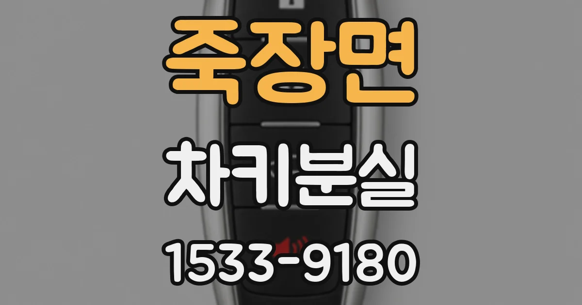 죽장면 차키분실