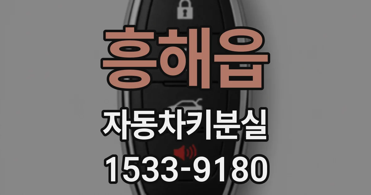 흥해읍 자동차키분실