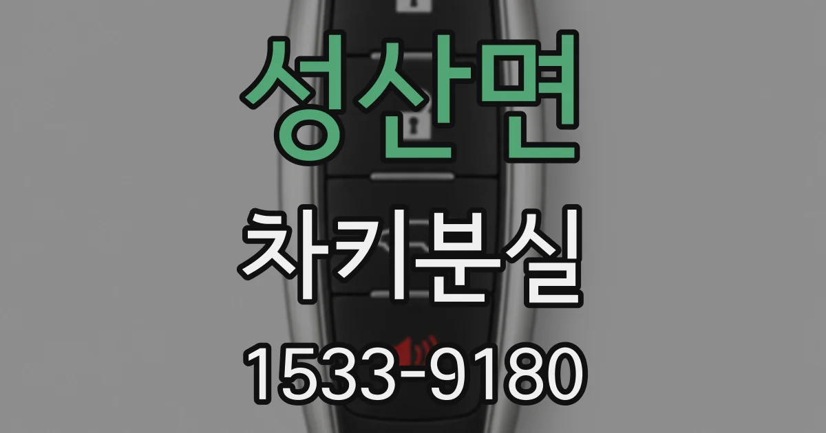 성산면 차키분실
