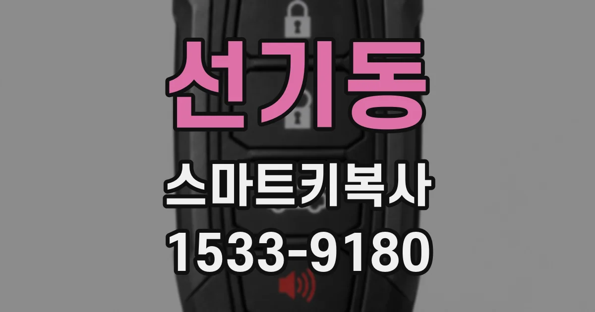 선기동 스마트키복사