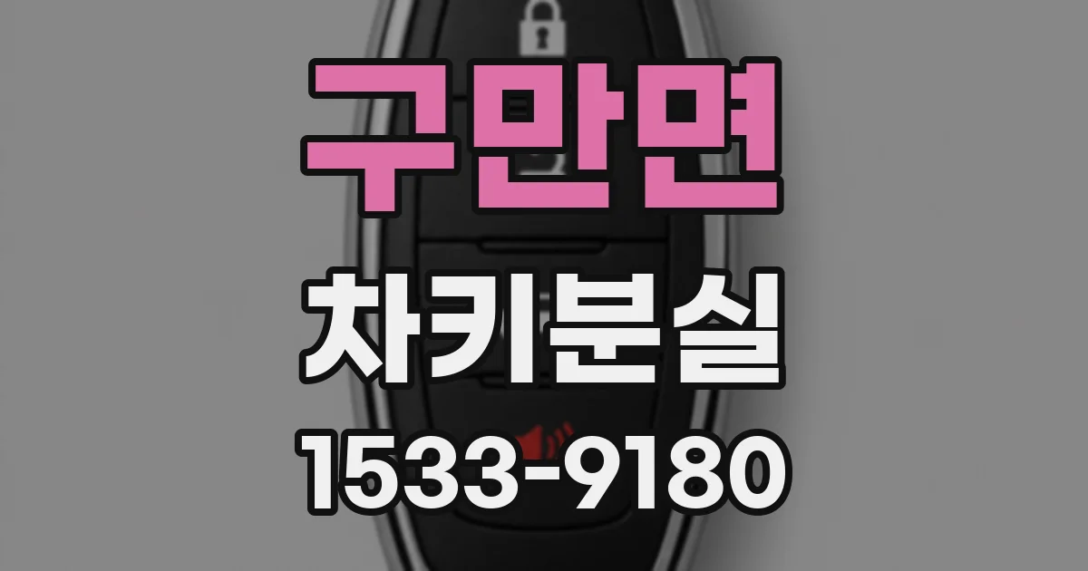 구만면 차키분실