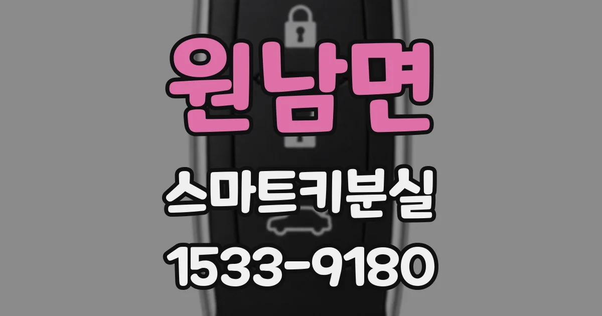 원남면 스마트키분실