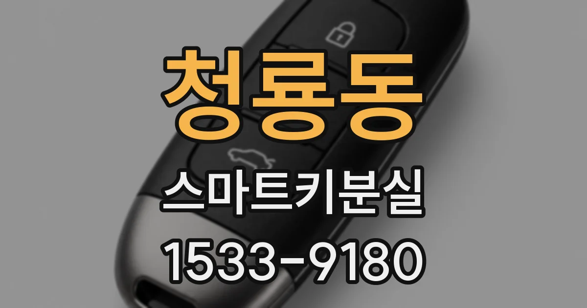 청룡동 스마트키분실