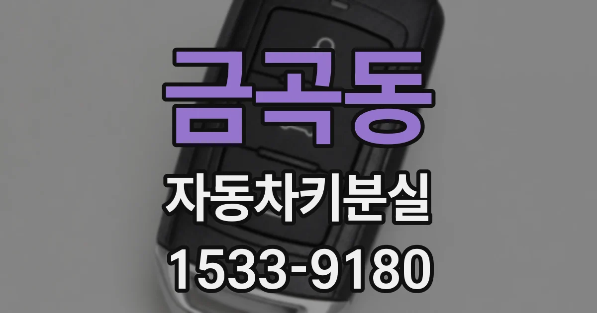 금곡동 자동차키분실