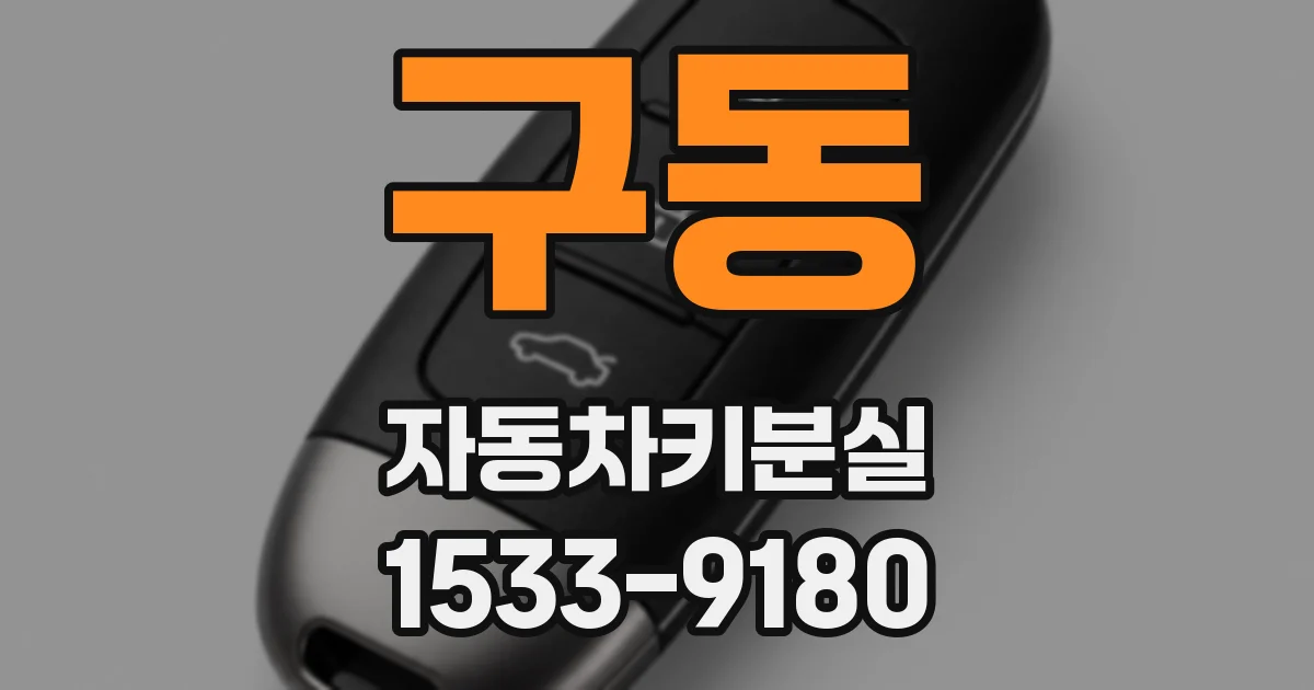 구동 자동차키분실