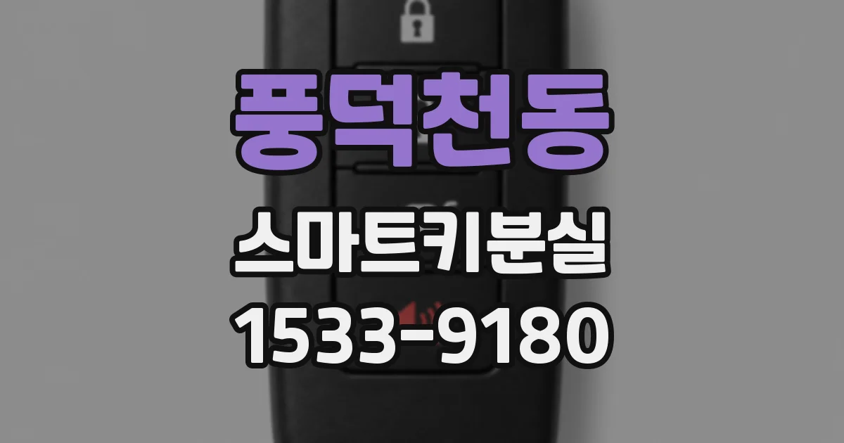 풍덕천동 스마트키분실