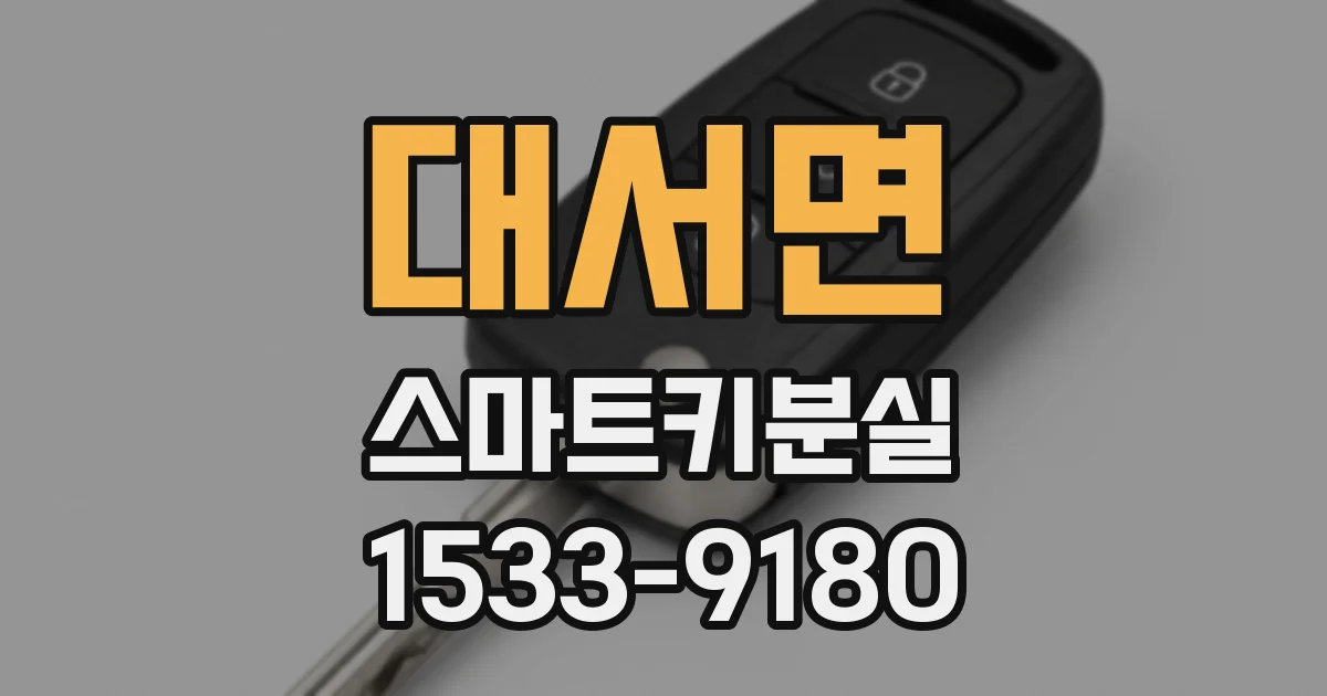 대서면 스마트키분실