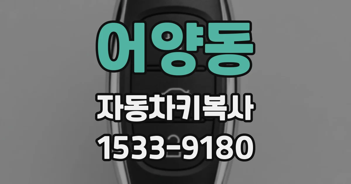 어양동 자동차키복사