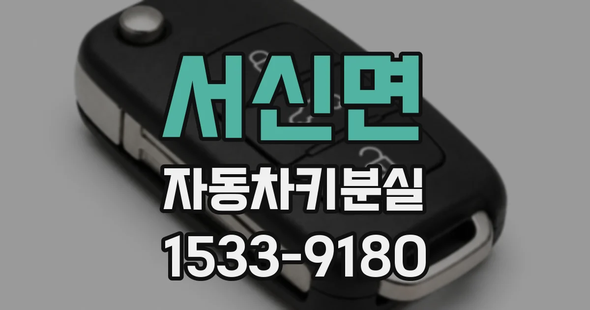 서신면 자동차키분실