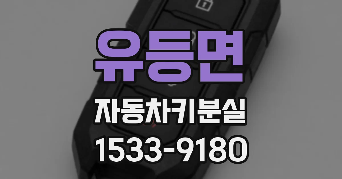 유등면 자동차키분실