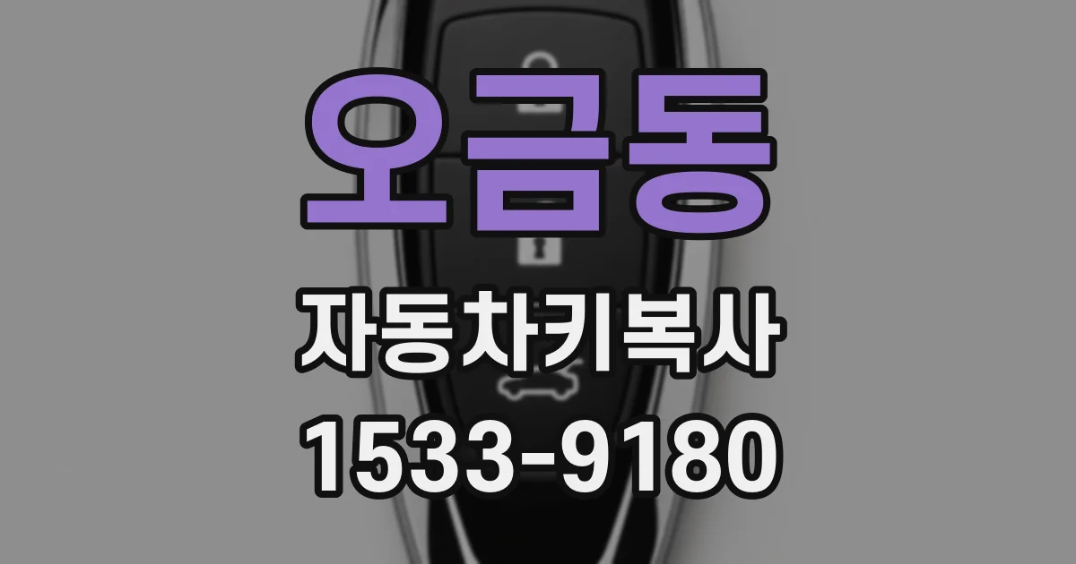 오금동 자동차키복사