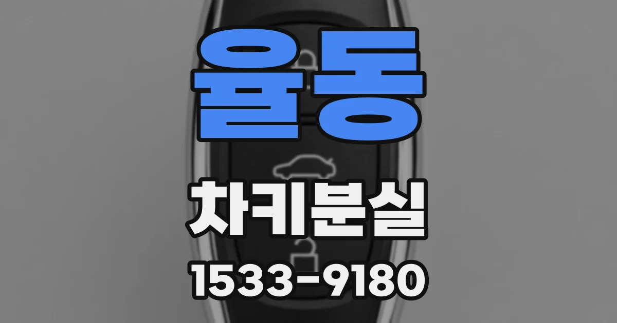 율동 차키분실