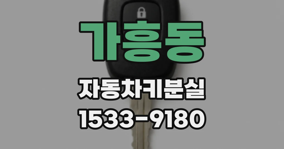 가흥동 자동차키분실