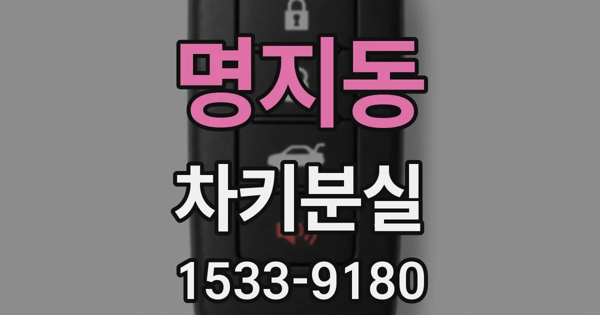 명지동 차키분실