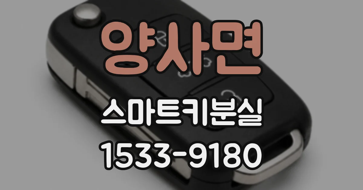 양사면 스마트키분실