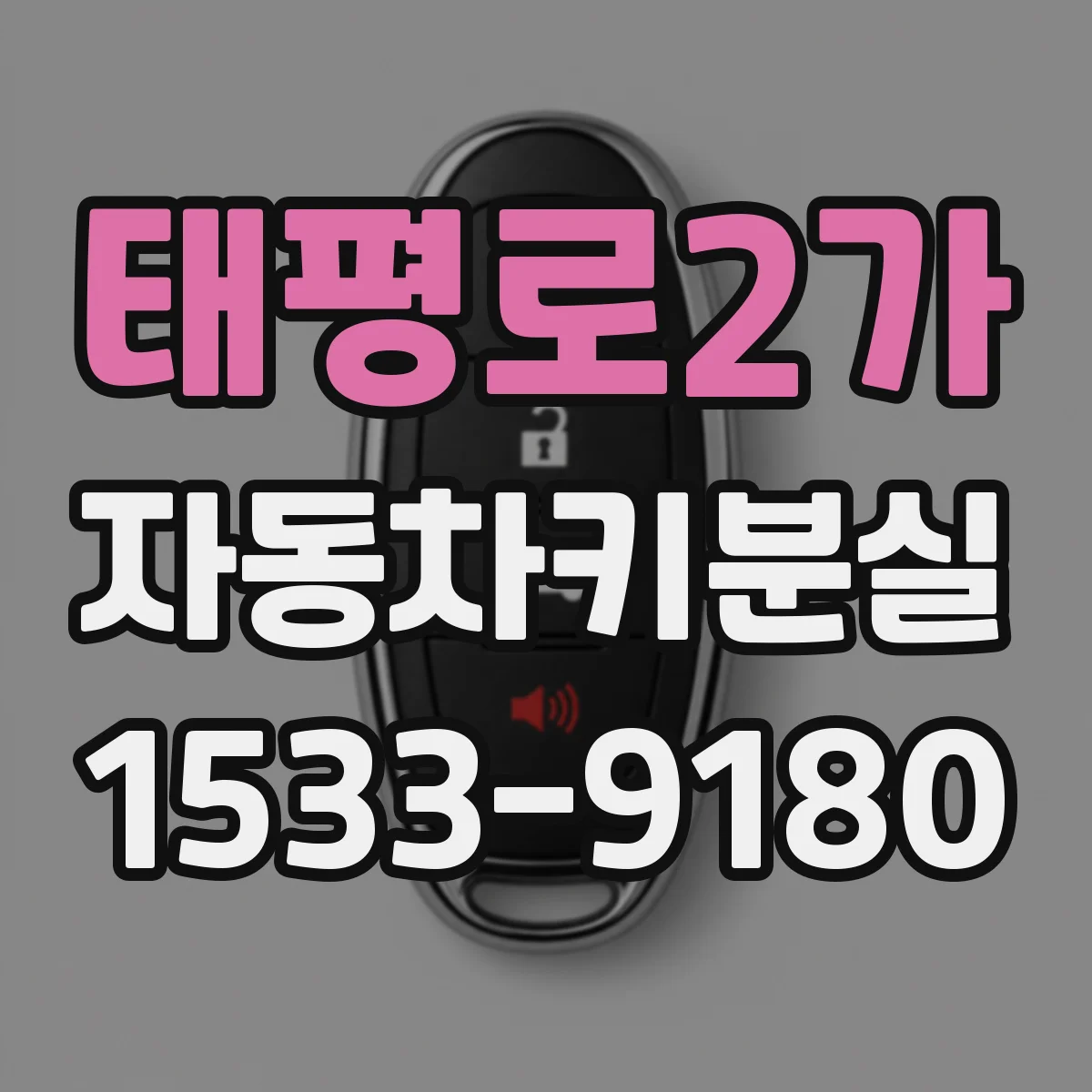 태평로2가 자동차키분실