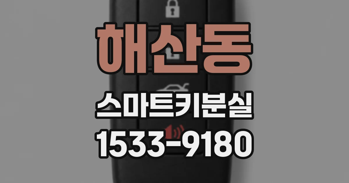 해산동 스마트키분실