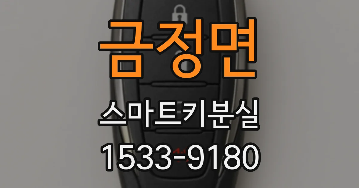금정면 스마트키분실