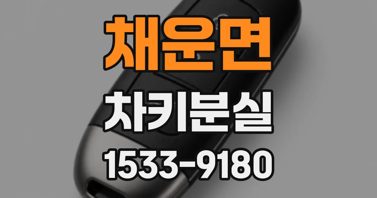 채운면 차키분실