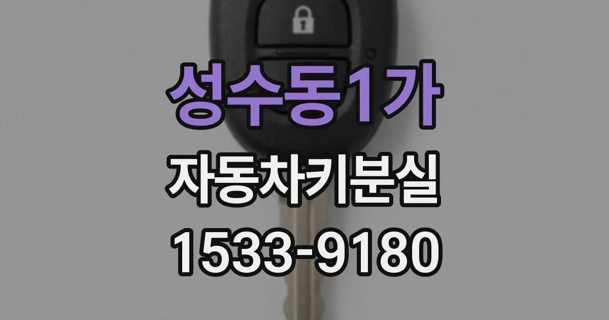 성수동1가 자동차키분실