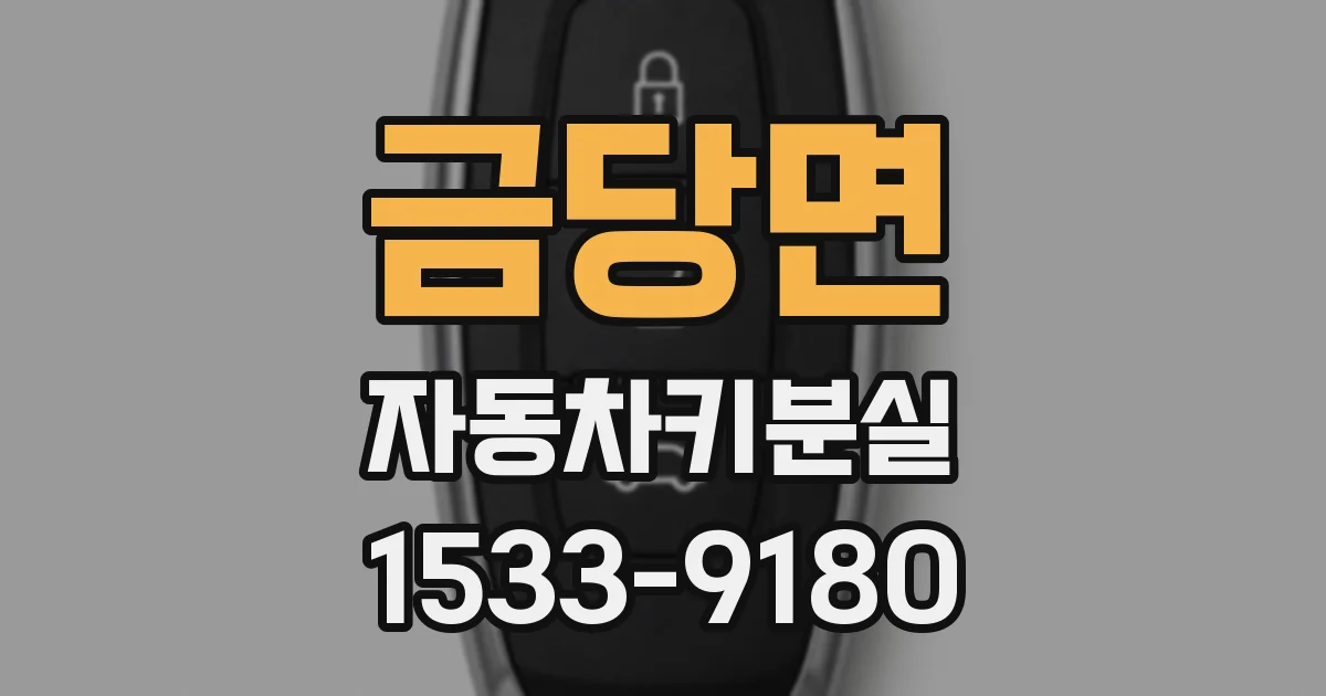 금당면 자동차키분실