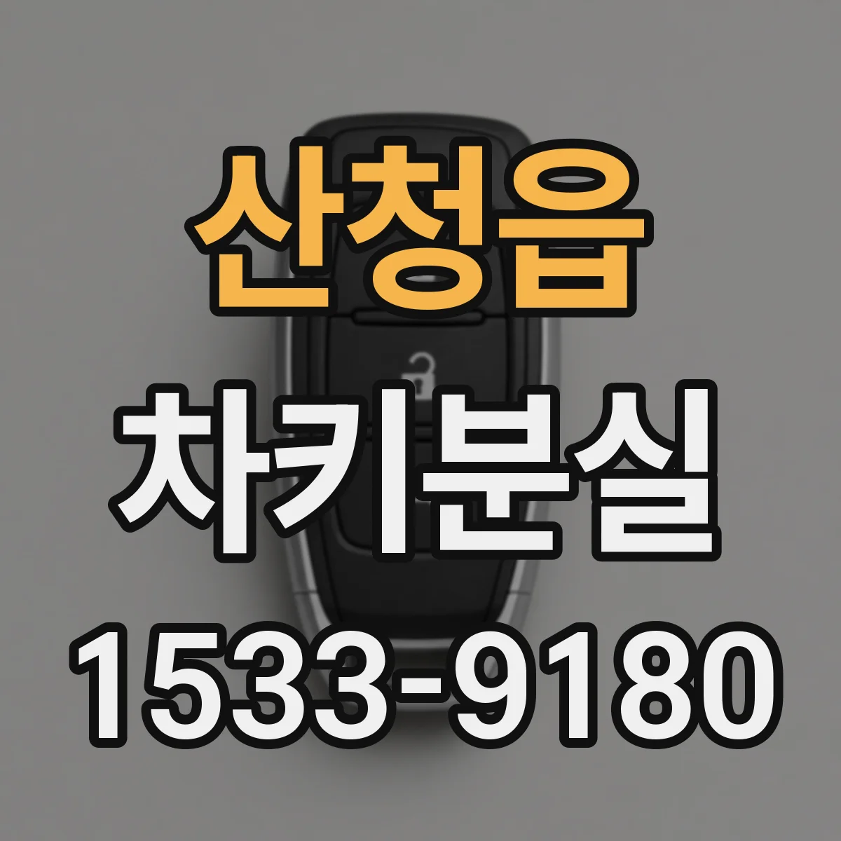 산청읍 차키분실