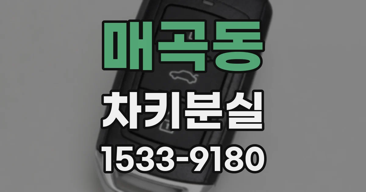 매곡동 차키분실