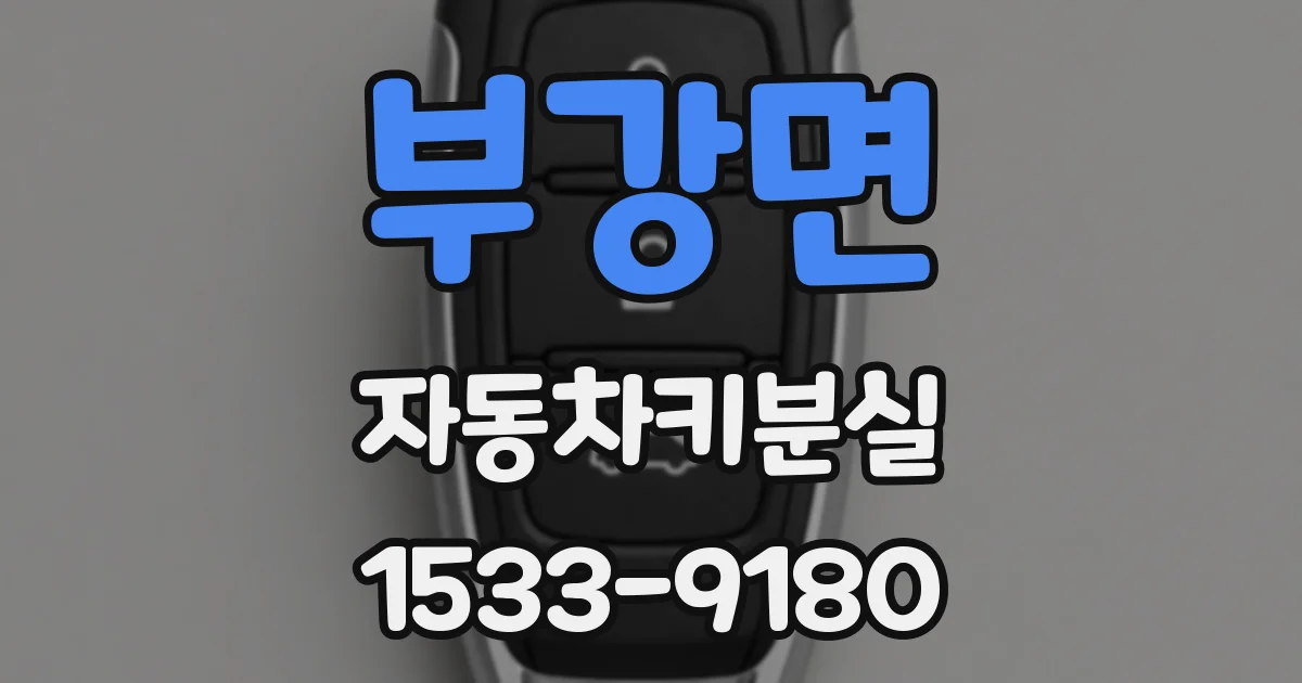 부강면 자동차키분실