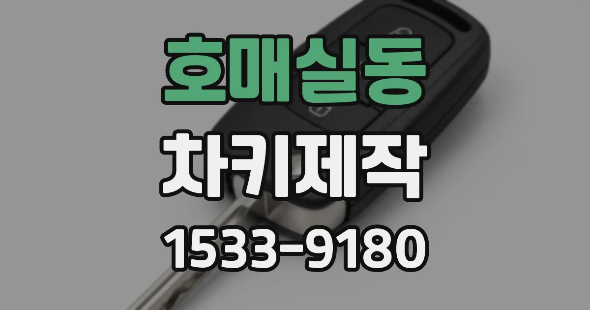 호매실동 차키제작