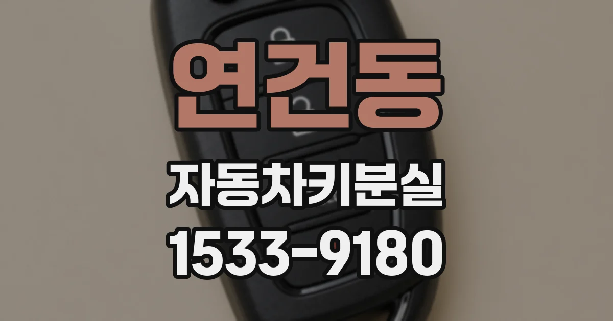 연건동 자동차키분실