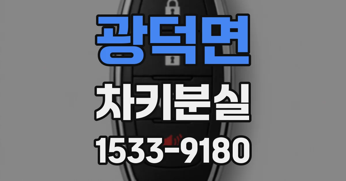 광덕면 차키분실