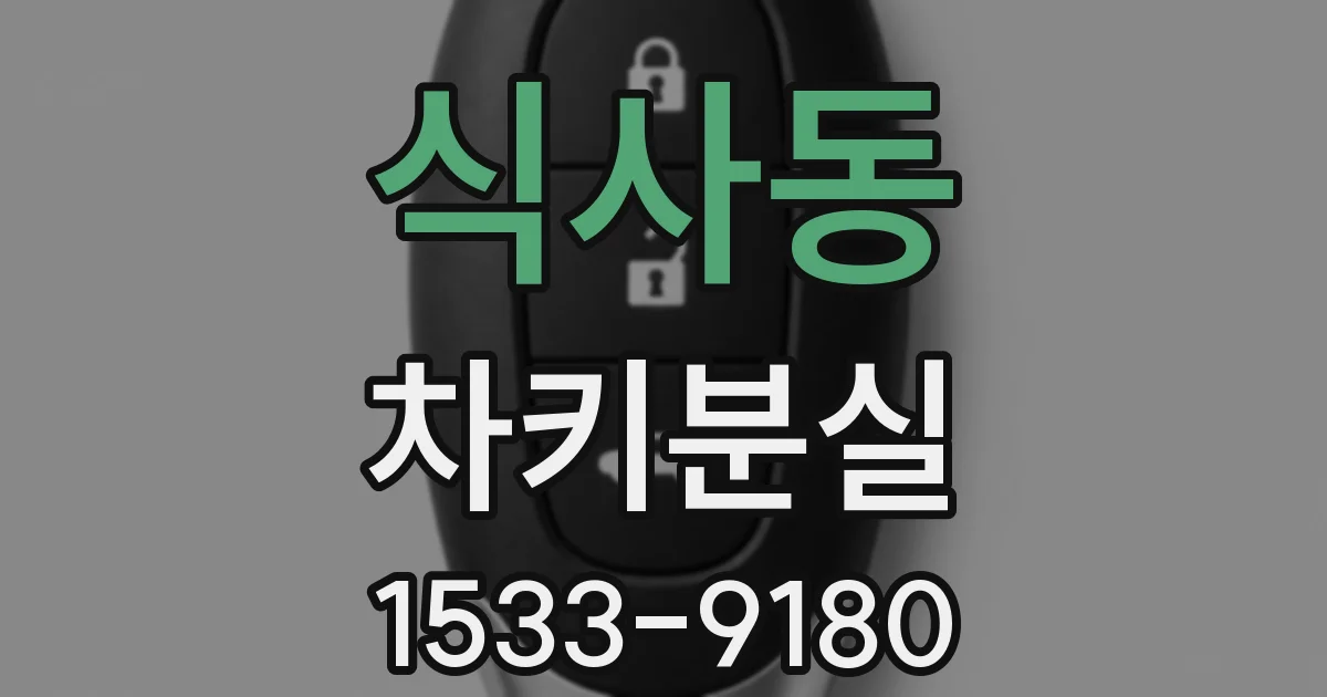 식사동 차키분실
