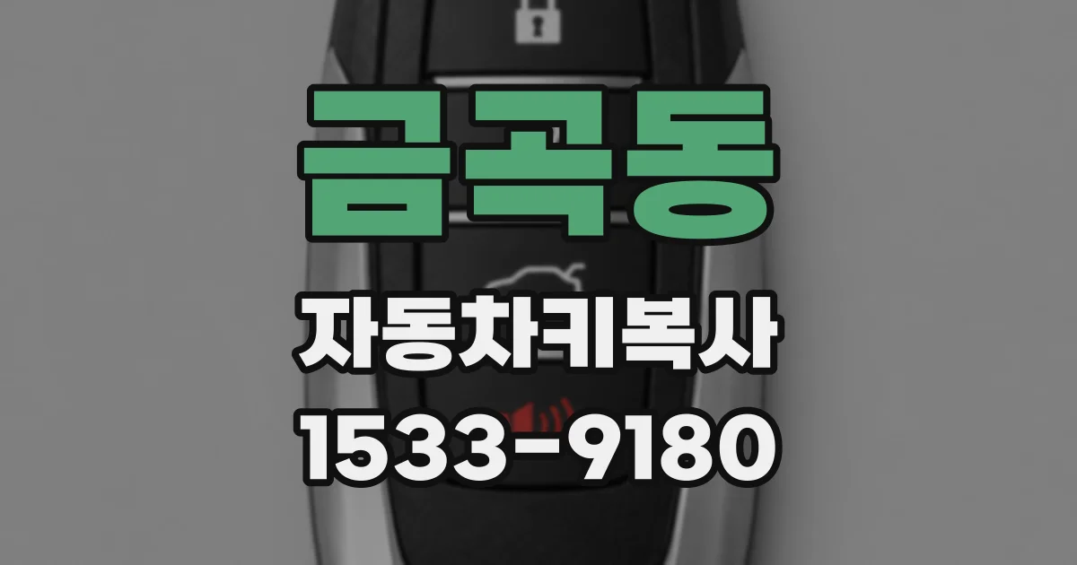 금곡동 자동차키복사