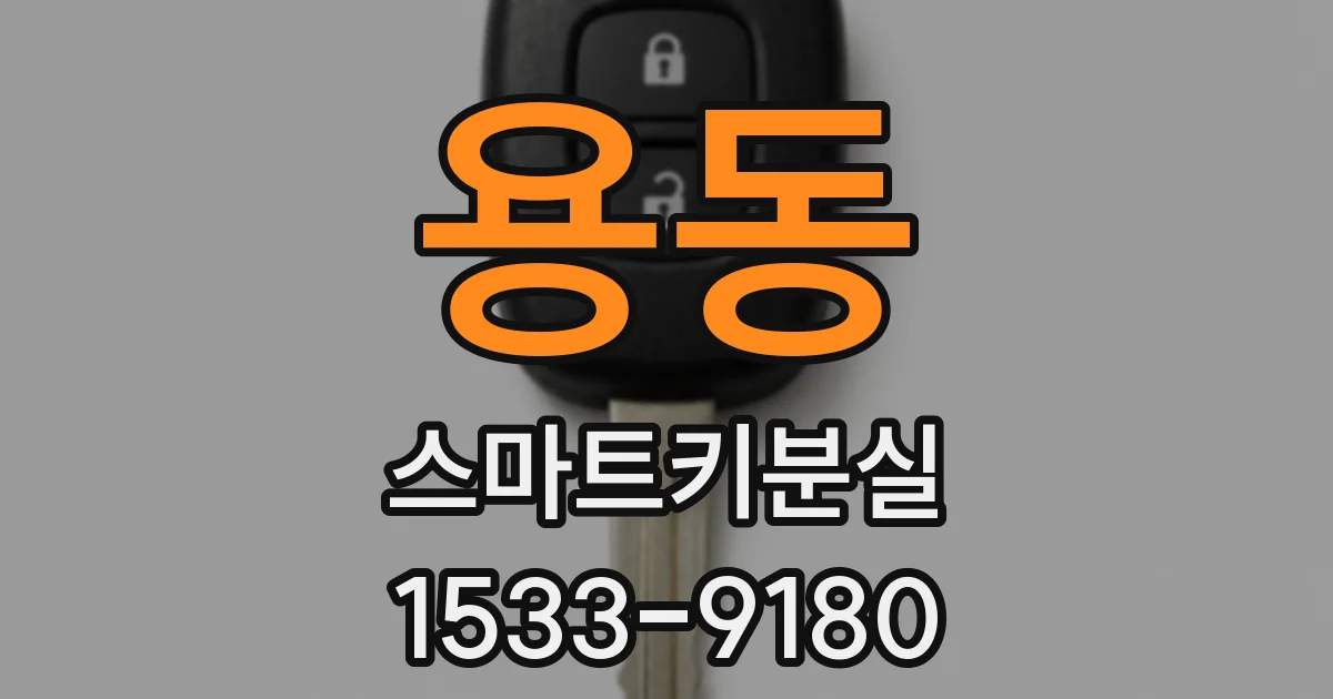 용동 스마트키분실