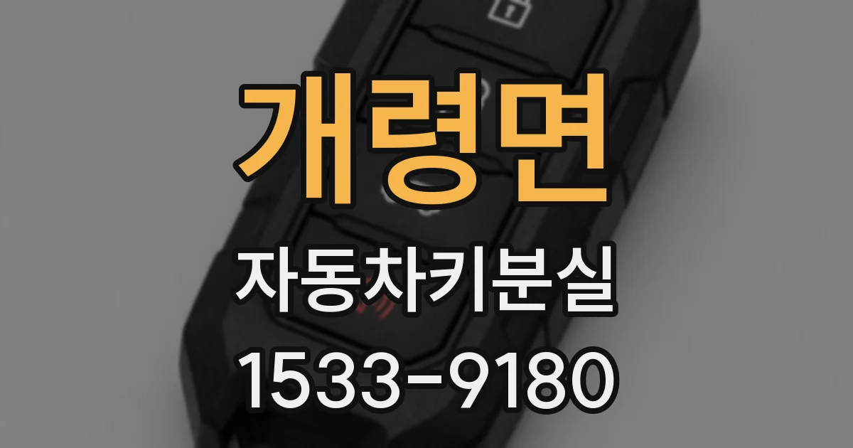 개령면 자동차키분실