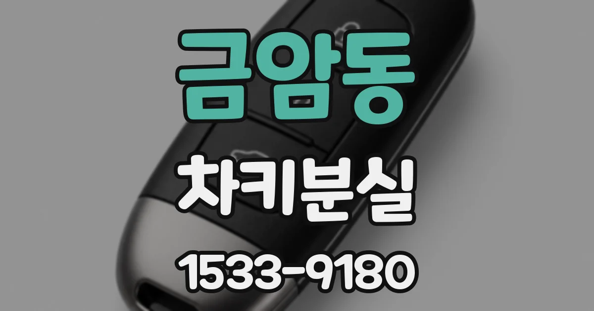 금암동 차키분실