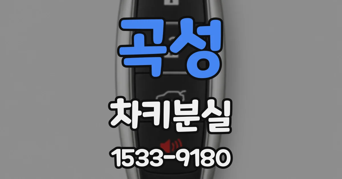 곡성 차키분실