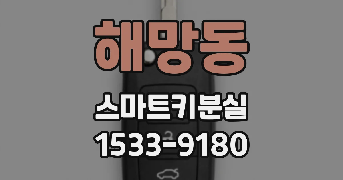 해망동 스마트키분실